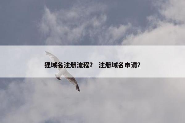 狸域名注册流程？ 注册域名申请？