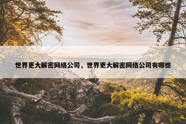 世界更大解密网络公司，世界更大解密网络公司有哪些