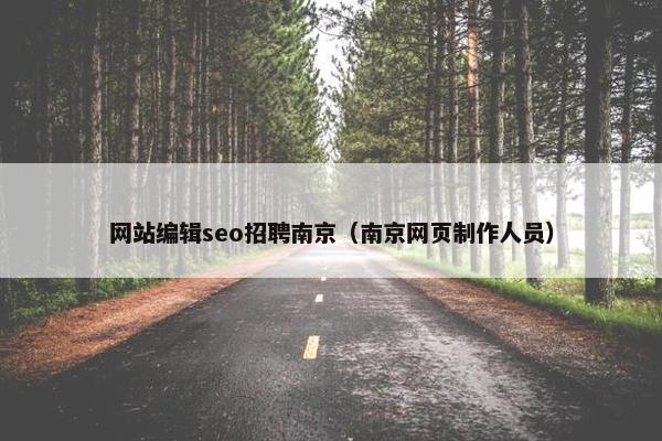 网站编辑seo招聘南京（南京网页制作人员）