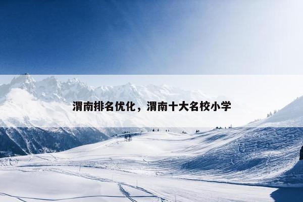 渭南排名优化，渭南十大名校小学
