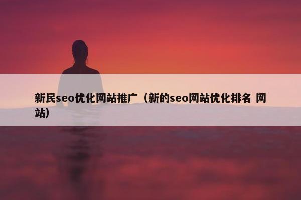 新民seo优化网站推广（新的seo网站优化排名 网站）