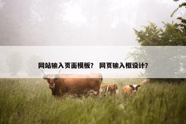 网站输入页面模板？ 网页输入框设计？