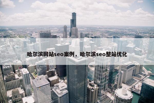 哈尔滨网站seo案例，哈尔滨seo整站优化