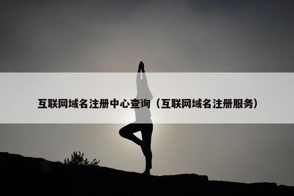 互联网域名注册中心查询（互联网域名注册服务）