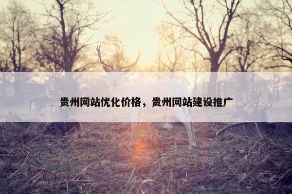 贵州网站优化价格，贵州网站建设推广