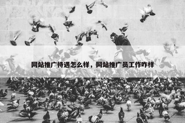 网站推广待遇怎么样，网站推广员工作咋样