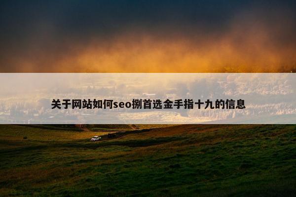 关于网站如何seo捌首选金手指十九的信息