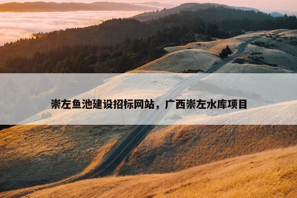 崇左鱼池建设招标网站，广西崇左水库项目