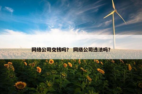 网络公司交钱吗？ 网络公司违法吗？