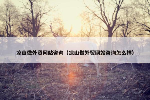 凉山做外贸网站咨询（凉山做外贸网站咨询怎么样）