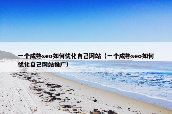 一个成熟seo如何优化自己网站（一个成熟seo如何优化自己网站推广）