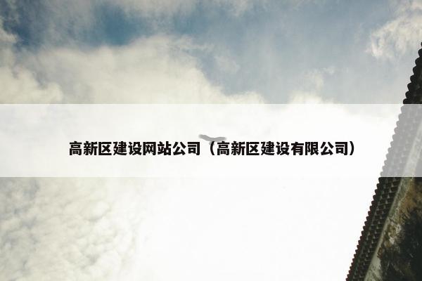 高新区建设网站公司（高新区建设有限公司）