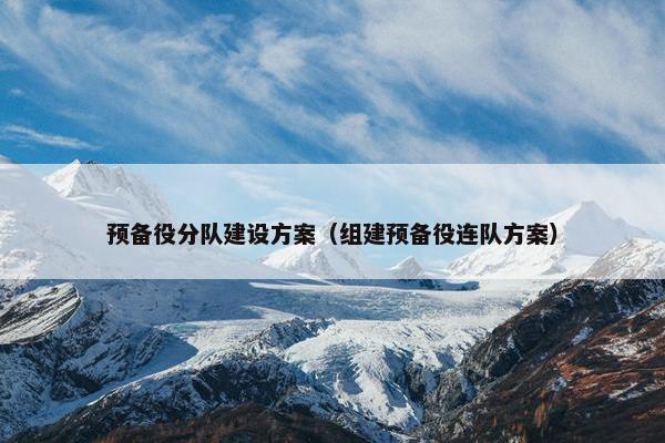 预备役分队建设方案（组建预备役连队方案）