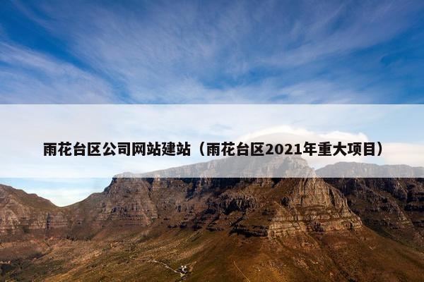 雨花台区公司网站建站（雨花台区2021年重大项目）