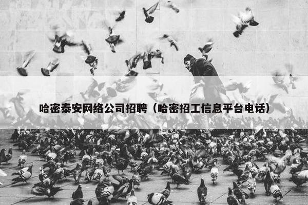 哈密泰安网络公司招聘（哈密招工信息平台电话）