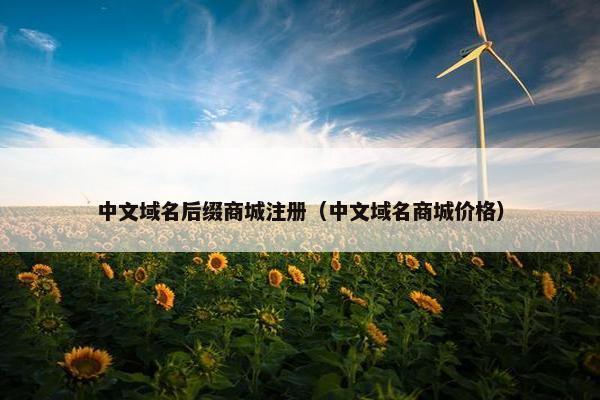 中文域名后缀商城注册（中文域名商城价格）