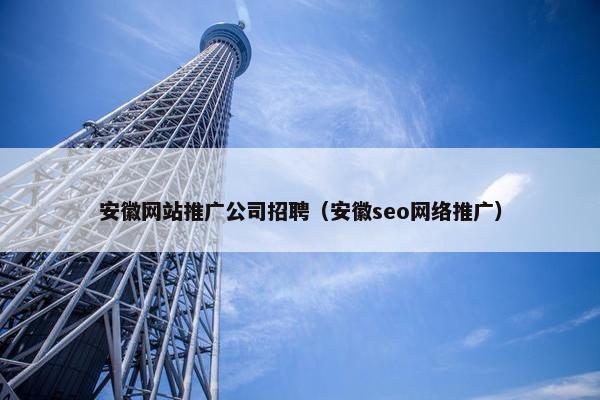 安徽网站推广公司招聘（安徽seo网络推广）