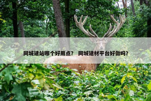 同城建站哪个好用点？ 同城建材平台好做吗？