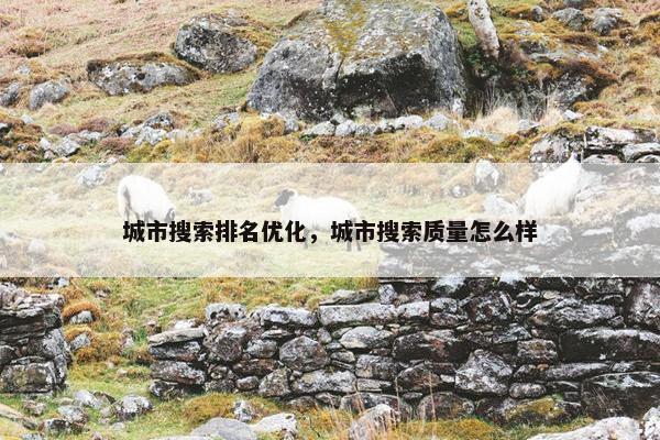 城市搜索排名优化，城市搜索质量怎么样