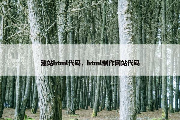 建站html代码，html制作网站代码