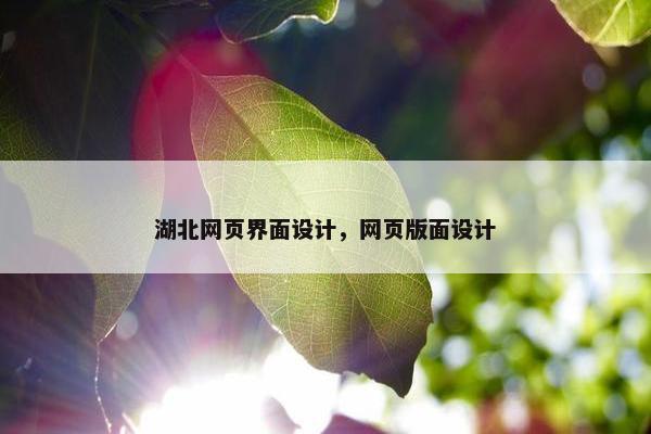 湖北网页界面设计，网页版面设计