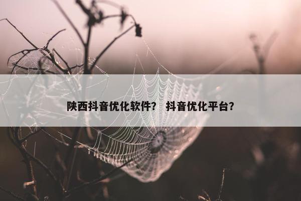 陕西抖音优化软件？ 抖音优化平台？