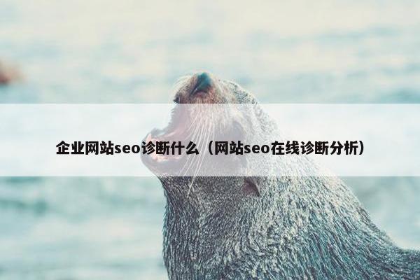 企业网站seo诊断什么（网站seo在线诊断分析）