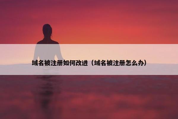 域名被注册如何改进（域名被注册怎么办）