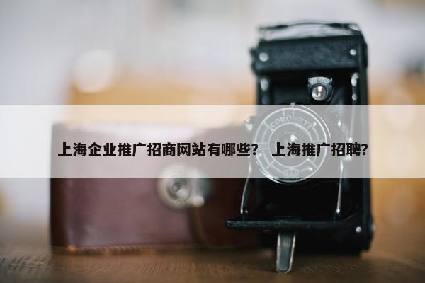 上海企业推广招商网站有哪些？ 上海推广招聘？