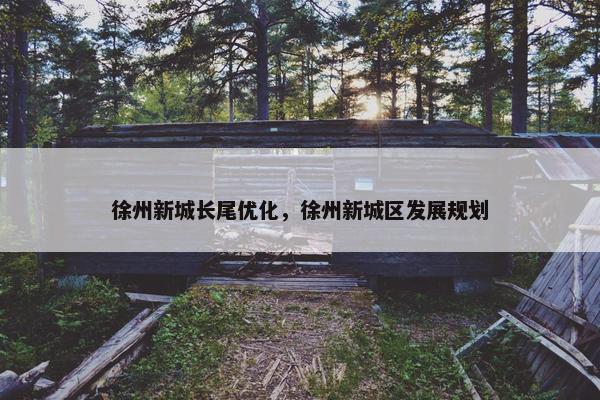 徐州新城长尾优化，徐州新城区发展规划