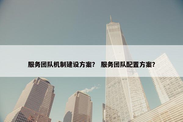 服务团队机制建设方案？ 服务团队配置方案？