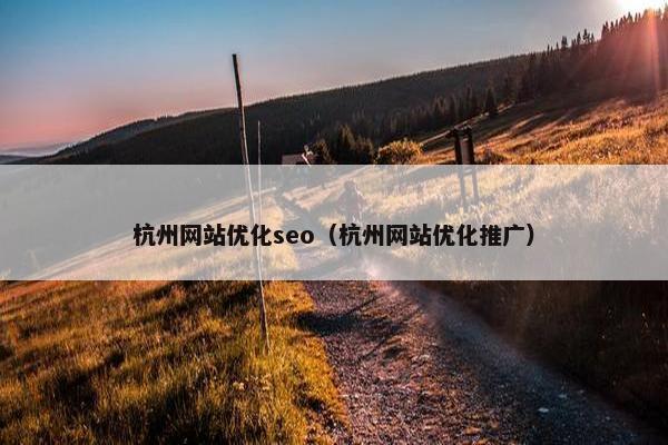 杭州网站优化seo（杭州网站优化推广）