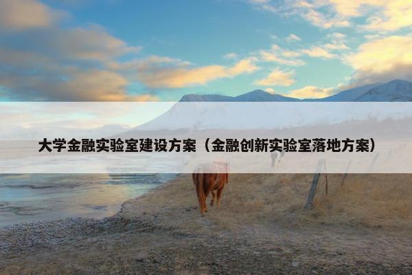 大学金融实验室建设方案（金融创新实验室落地方案）
