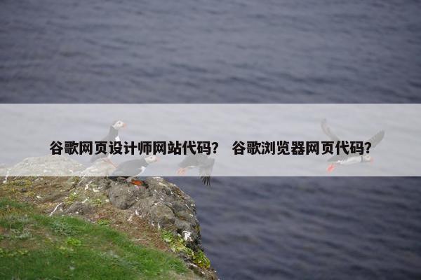 谷歌网页设计师网站代码？ 谷歌浏览器网页代码？