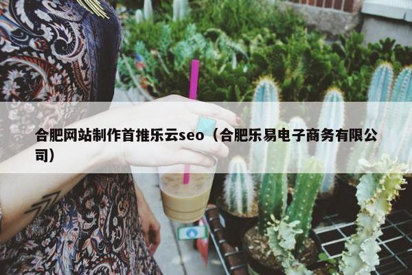 合肥网站制作首推乐云seo（合肥乐易电子商务有限公司）
