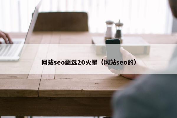 网站seo甄选20火星（网站seo的）