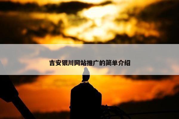吉安银川网站推广的简单介绍