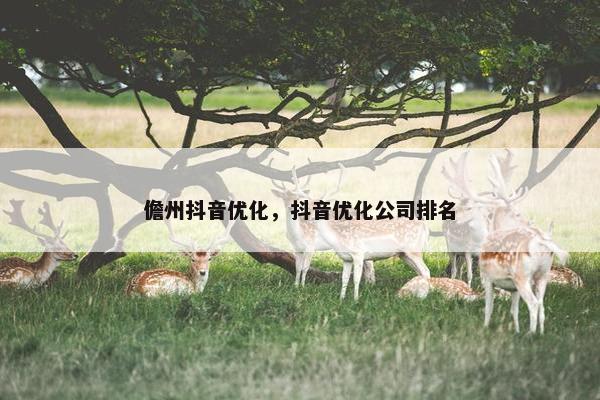 儋州抖音优化，抖音优化公司排名