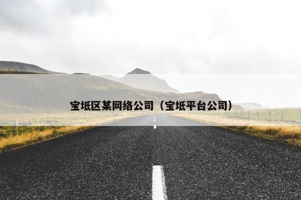 宝坻区某网络公司（宝坻平台公司）