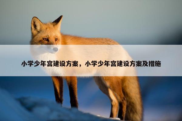 小学少年宫建设方案，小学少年宫建设方案及措施