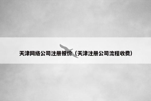 天津网络公司注册报价（天津注册公司流程收费）