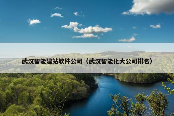 武汉智能建站软件公司（武汉智能化大公司排名）