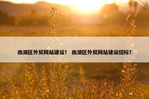 南湖区外贸网站建设？ 南湖区外贸网站建设招标？