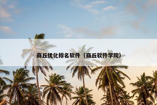 商丘优化排名软件（商丘软件学院）