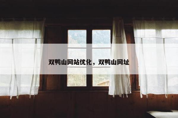 双鸭山网站优化，双鸭山网址