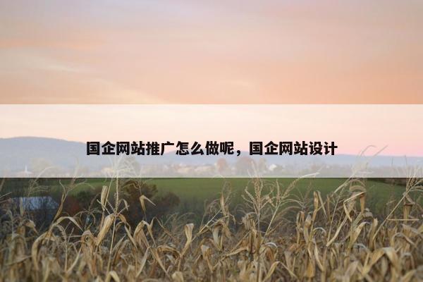国企网站推广怎么做呢，国企网站设计