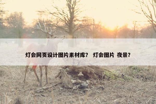 灯会网页设计图片素材库？ 灯会图片 夜景？