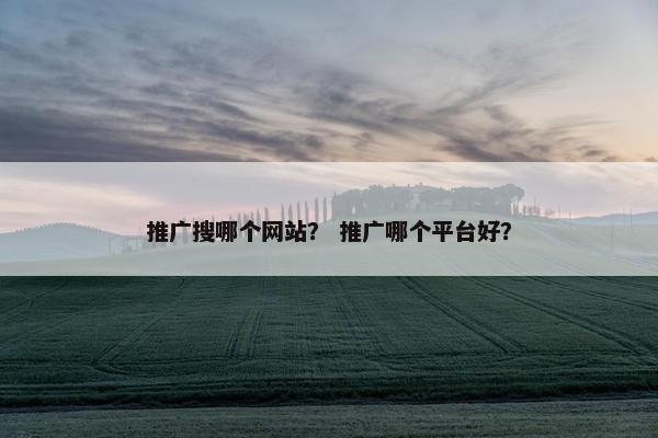 推广搜哪个网站？ 推广哪个平台好？