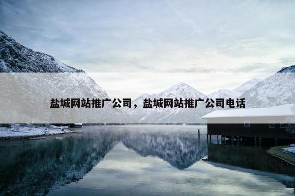 盐城网站推广公司，盐城网站推广公司电话