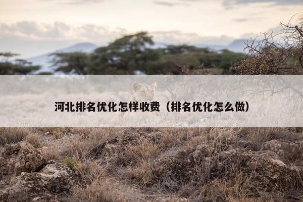 河北排名优化怎样收费（排名优化怎么做）